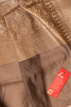 Taupe Liva Saree